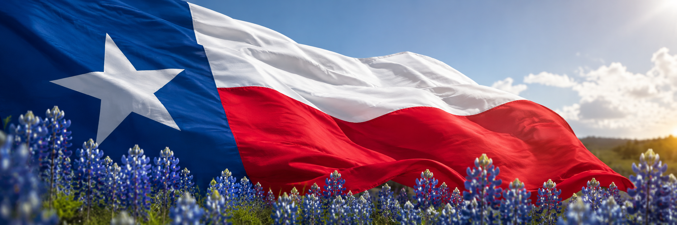 Flowing Texas state flag
